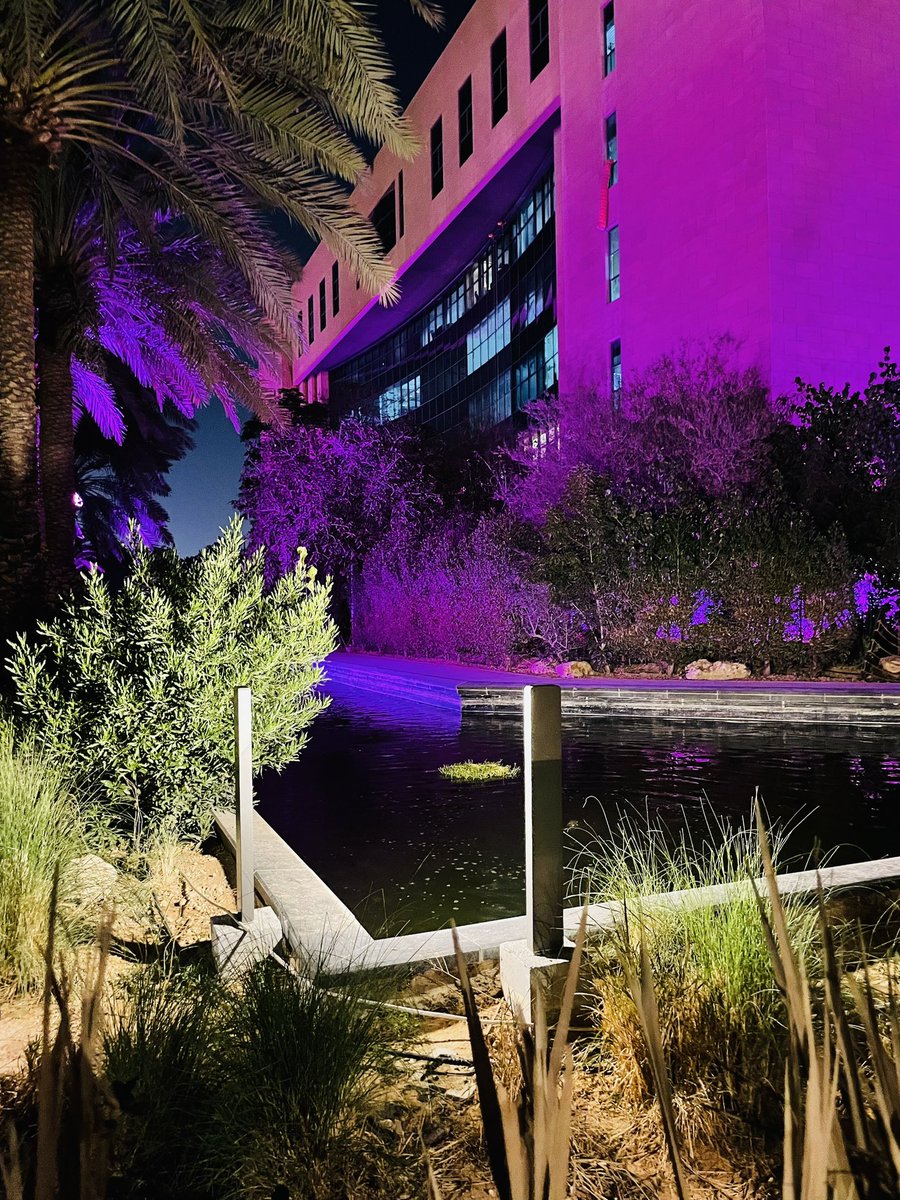 Your_71's tweet photo. اجمل ممشى في الرياض😍
📍ممشى واحـة نجد

https://t.co/EO46CjNNYB https://t.co/AO2tc2uCQs