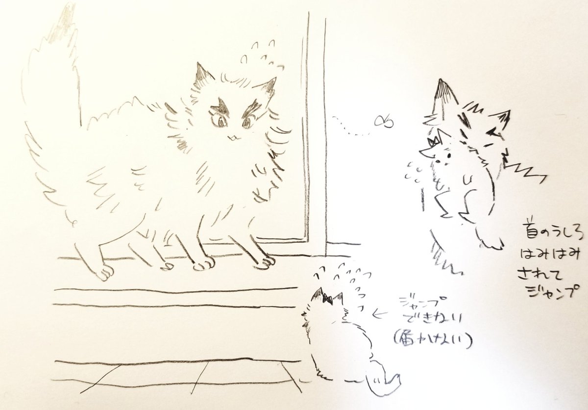 いつもこんなことばかり考えています 