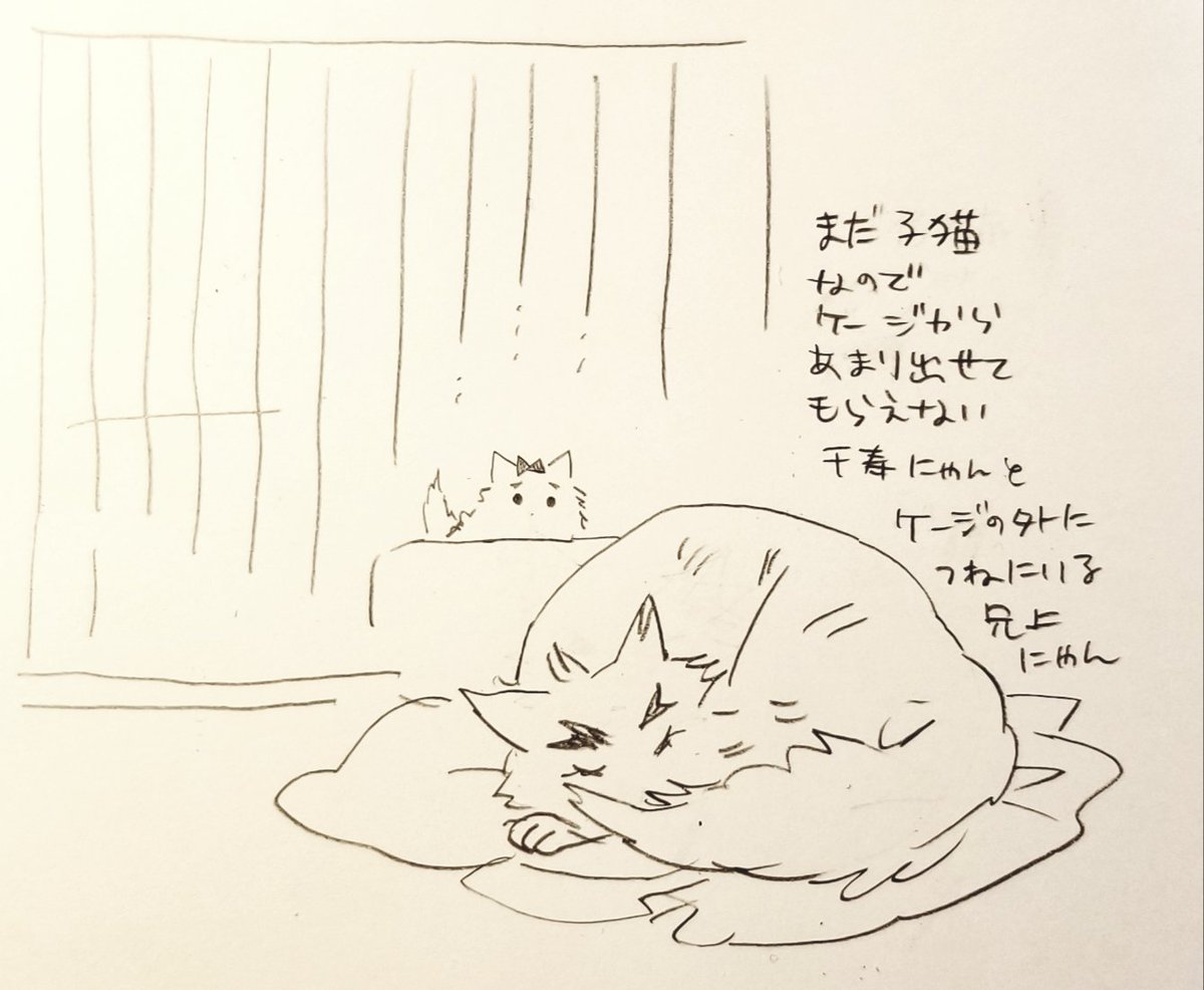 いつもこんなことばかり考えています 