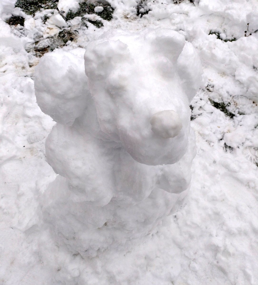 FKKanzler's tweet photo. Natürlich bricht genau an dem Tag, wenn ich ins Literaturhaus will, München unter Schnee und Eis zusammen. Keine Möglichkeit zum Anreisen, kein Zug fährt. Ich hab stattdessen einen traurigen Schneehund gebaut. #schriftstellerleben #pustekuchen #schneechaos https://t.co/UrUSeGPNAf
