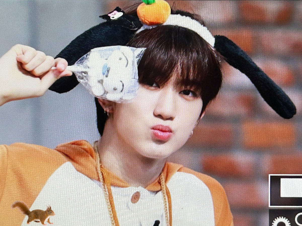 231202

이 기여운 다람쥐 입양 가능한가요🥹❤️

#경문