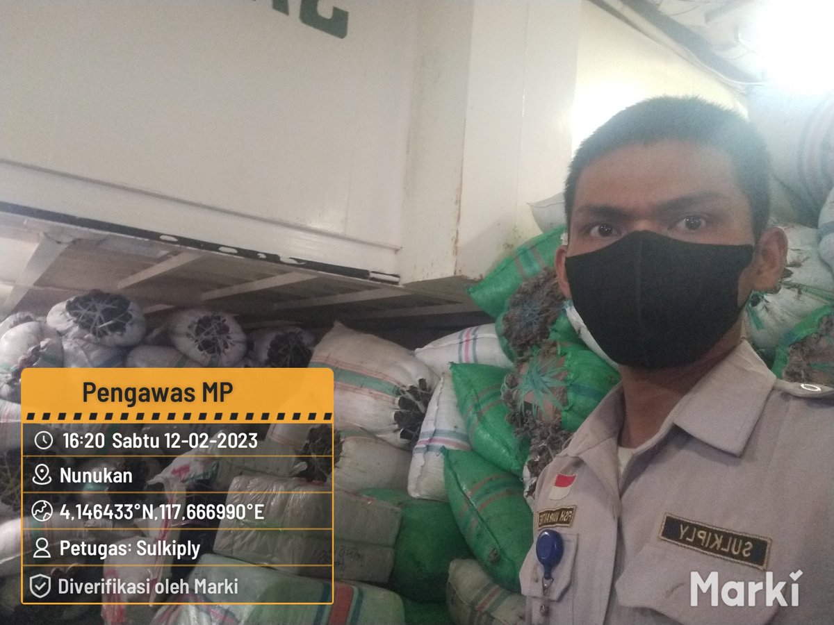BKIPMNunukan's tweet photo. 02/12/2023
#SalamBahari
Laporan Giat Wilker Nunukan,
Pengawasan kedatangan dan keberangkatan pemuatan MP Rumput Laut Kering sebanyak 142.374 Kg/1.626Koli tujuan Pare2 Via KM. Queen soya
@bkipm_kkp
@BKIPMTarakan
#KKPThrive https://t.co/eAUazMdaVl