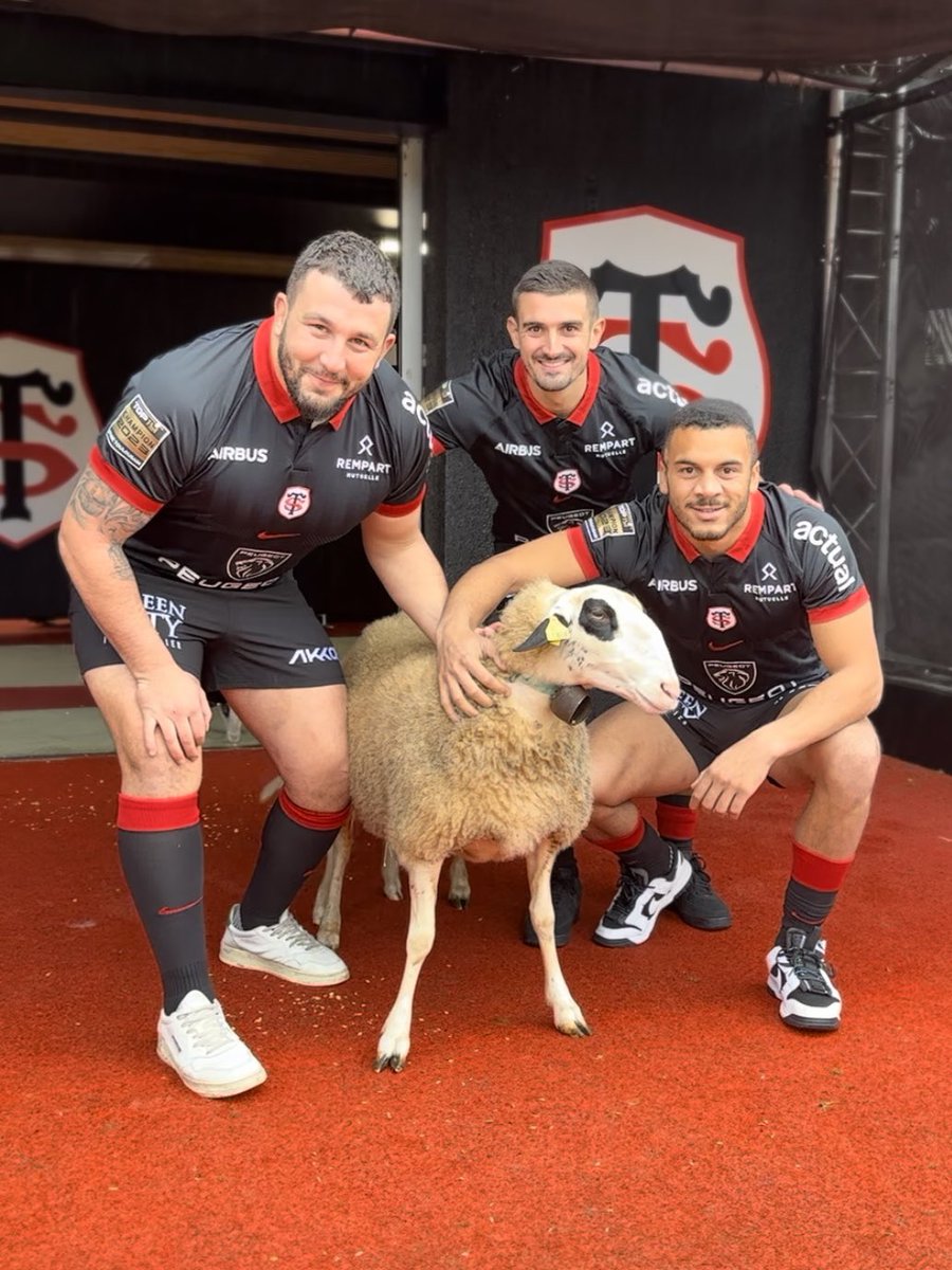 cheztontontlse's tweet photo. 🚨INSOLITE🚨

Afin de préserver sa charnière, Ugo Mola réfléchirait à aligner « Momo le mouton » contre le Stade Français. Ses grosses datas et sa capacité de franchissement auraient peser dans le choix du technicien. Anecdotique quoi qu’il en soit, vu l’affluence à Jean Bouin. https://t.co/PF7C12BOol