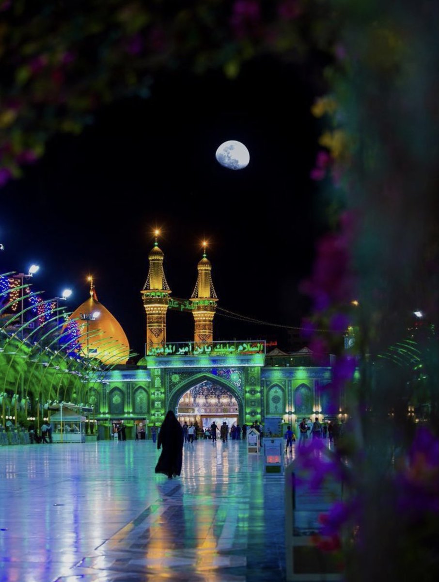 Your love is the only medicine that cures all problems Ya Abbas ع—🤎