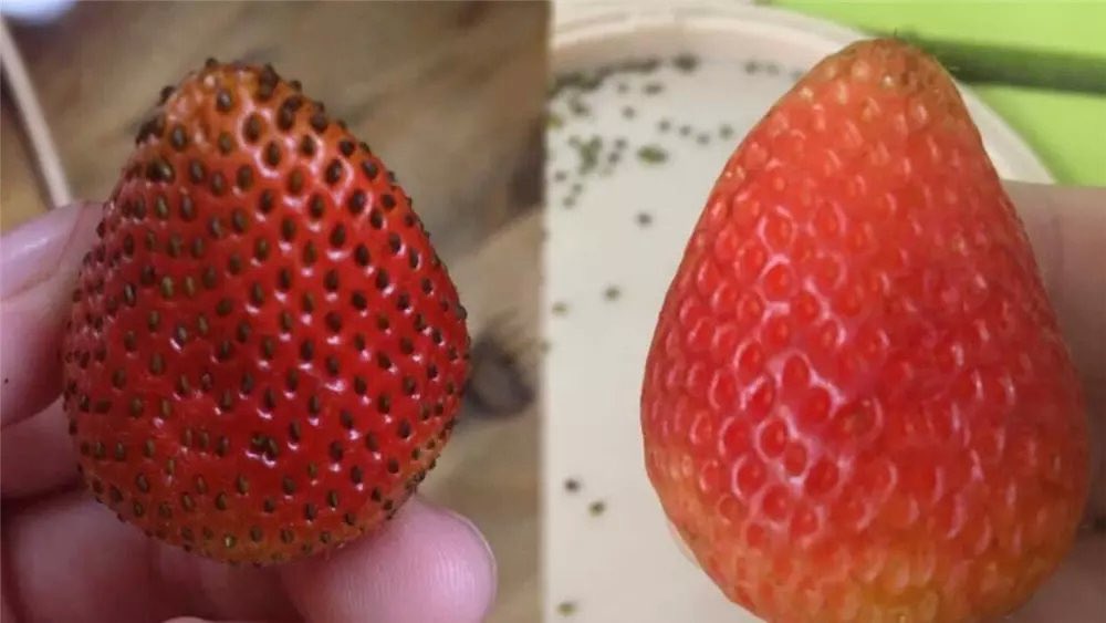 Ăn đến trái cuối cùng thì…
Eat until the last fruit...