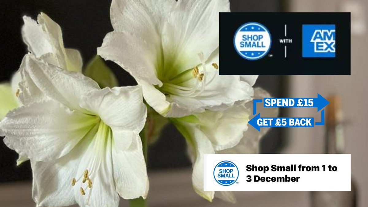 #AMEX  cardholders, don't forget #shopsmall this weekend. We take Amex at the shop and will be at the #ChiswickFlowerMkt on Sunday. <a href="/ChiswickFlowers/">Chiswick Flower Market</a> #waxamaryllis