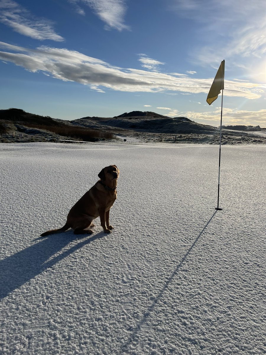 Please I really want to play - Every golfer in the North East today!