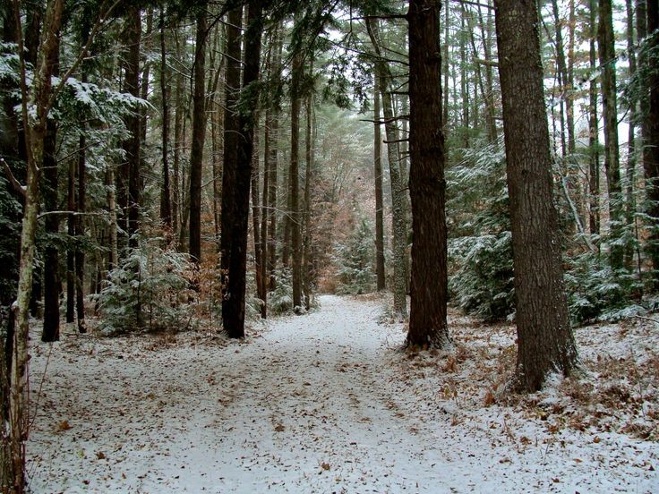 𝕰𝖑𝖊𝖒𝖒𝖎𝖗𝖊 tweet media