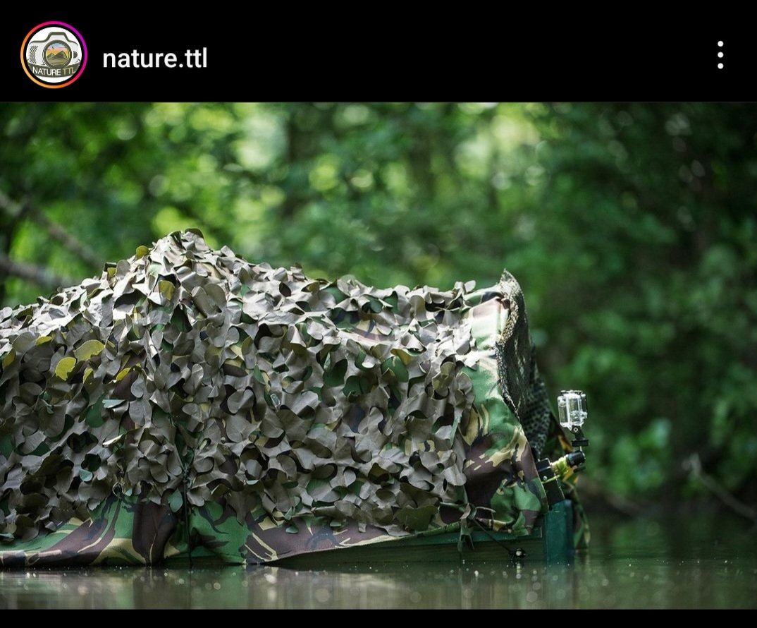 DavidAPlummer's tweet image. instagram.com/stories/davidp…