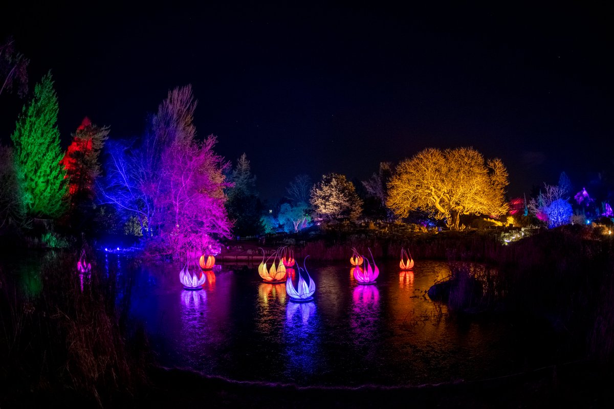 Cam Botanic Garden tweet media