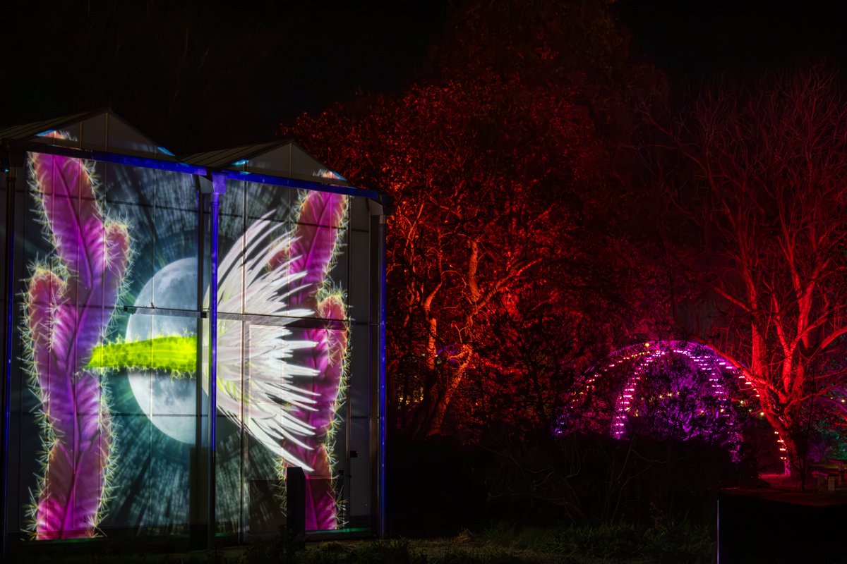 Cam Botanic Garden tweet media