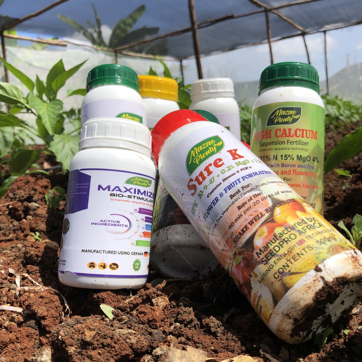 kalebndolo's tweet image. I will be evaluating several products I received from #seedpro .

CEO alisema zinawork kama magic.

By the end of my trial I give You the data on performance of these products.

Updates mtapata daily.