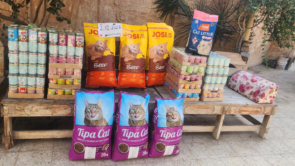 helpcatsmsallam's tweet photo. Hello guys ..
This is the second update..
I was able to find food for the cats with great difficulty. I bought a lot for them even though the prices had doubled.
Because of your generous support, I was able to buy extra food for them, enough to last until the beginning of February.
I made a hard effort to get to the place that sells cat food.. I went under fire to get there..
I could not find a car to transport all this quantity. I had to transport it using manual carts
In this mission, I was exposed to a lot of danger and hardship... but my duty towards those cats made me ignore all the danger...
Until now, I have not been able to buy anything additional for me and my family. We have enough until the end of the month.
I was unable to obtain any of the humanitarian aid that entered during the truce period, because what entered was not enough to provide all the residents of Gaza
I will appreciate your support at the following link to help us withstand and overcome this harsh and difficult period
https://t.co/4HGeWVpT8V
I appreciate your sympathy and financial and moral support.. and I want to reassure you that my family and I are all fine