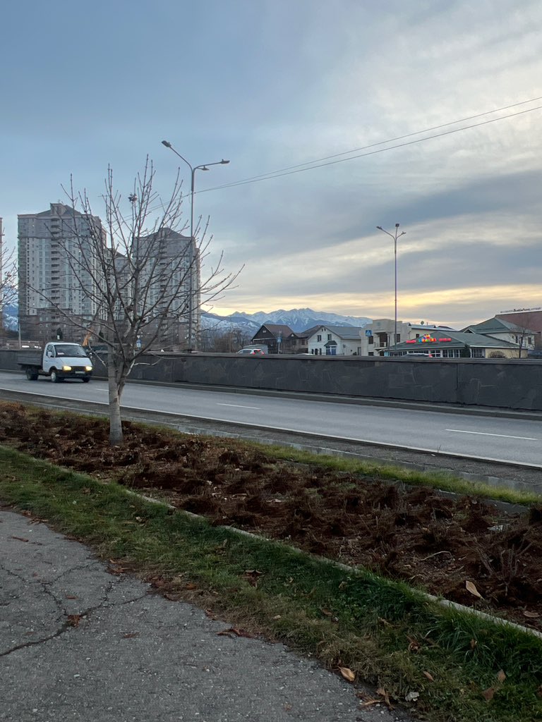 ig fatbitchesfightingoverburger tweet media