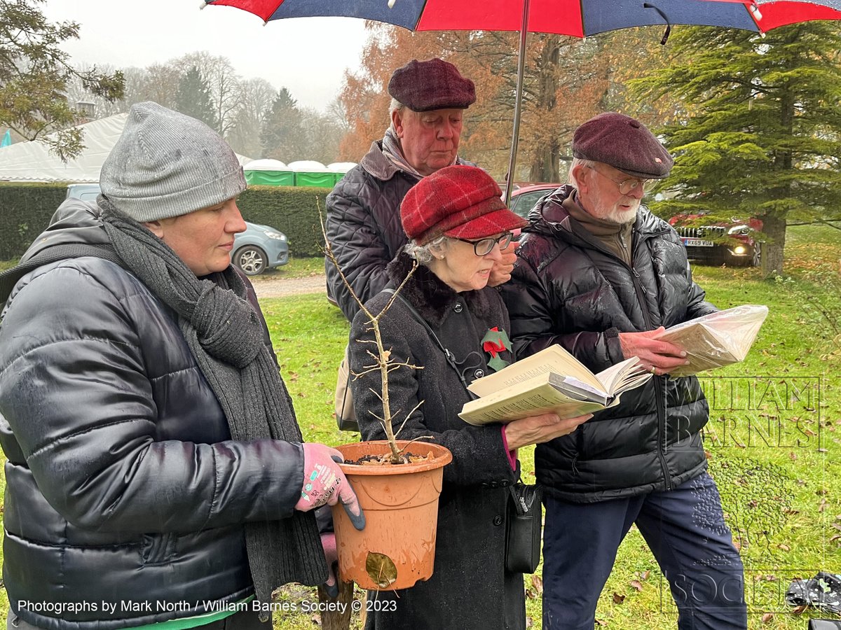As it is #NationalTreeWeek we look back to last weekend when members of the <a href="/BarnesSociety/">WilliamBarnesSociety</a> planted a sapling from the oak tree that inspired William Barnes to write 'The Girt Woak Tree That's in the Dell in the grounds of Athelhampton House #History #Heritage #Dorset