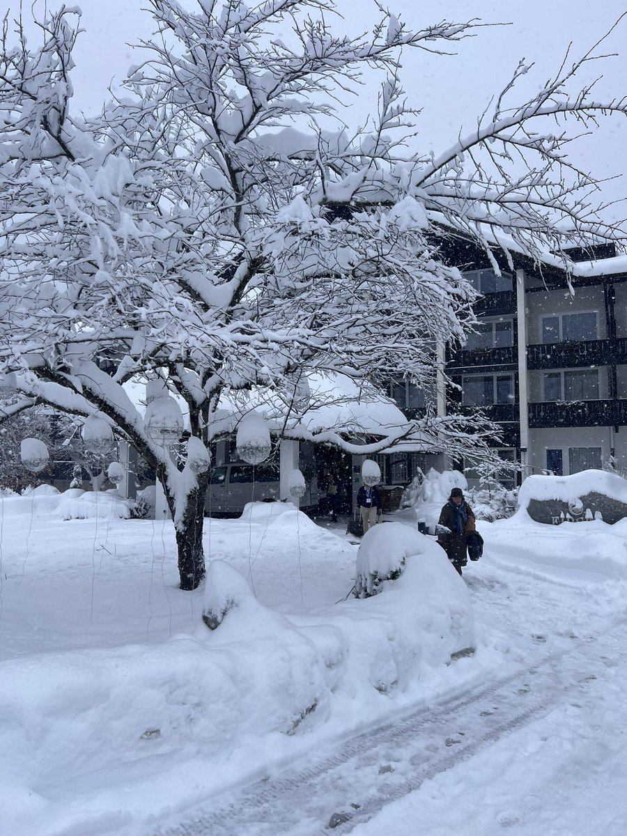 ZiniAndrea's tweet image. Last topic of the #ESSW is "being able to return home" @ESOstroke #stresstest #itwillallbefine #staysafe #positivemood