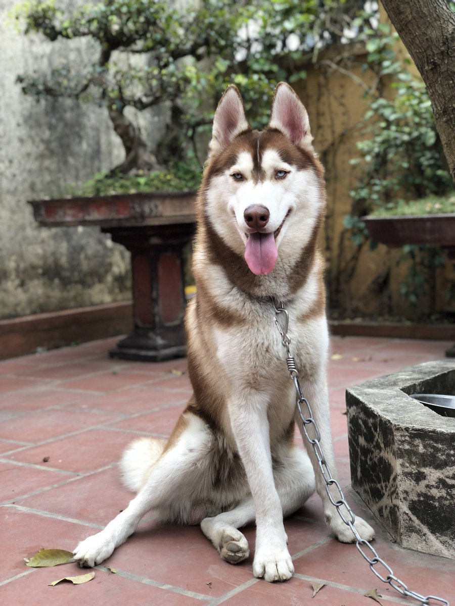 LiemRoyal's tweet photo. Hello guys, my name is same royal! https://t.co/elmMVLp7Rc
