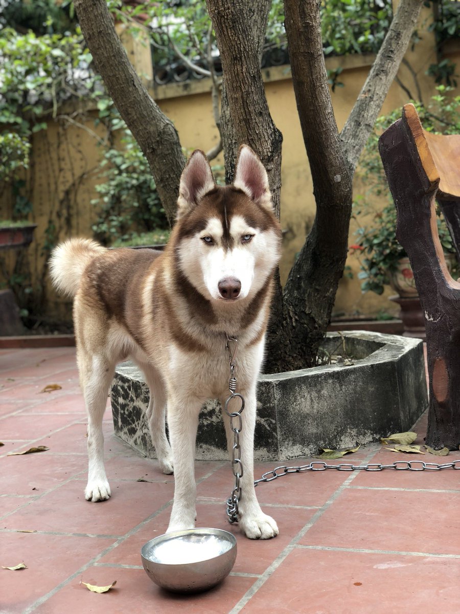 LiemRoyal's tweet photo. Hello guys, my name is same royal! https://t.co/elmMVLp7Rc
