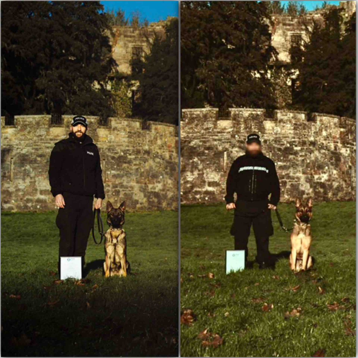 PSOSDogs's tweet image. ⭐️ ⭐️ NEW ARRIVALS ⭐️⭐️

Completion of initial training &amp;amp; passing all requirements to be licensed has resulted in 2 new Dog Teams for the West! 👏🏻👏🏻

#PDMary &amp;amp; PC Gibson (L) and #PDBusa &amp;amp; PC Wilson (R) are now #KeepingPeopleSafe and can’t wait to get their inaugural capture! 👮🏼‍♂️🐕