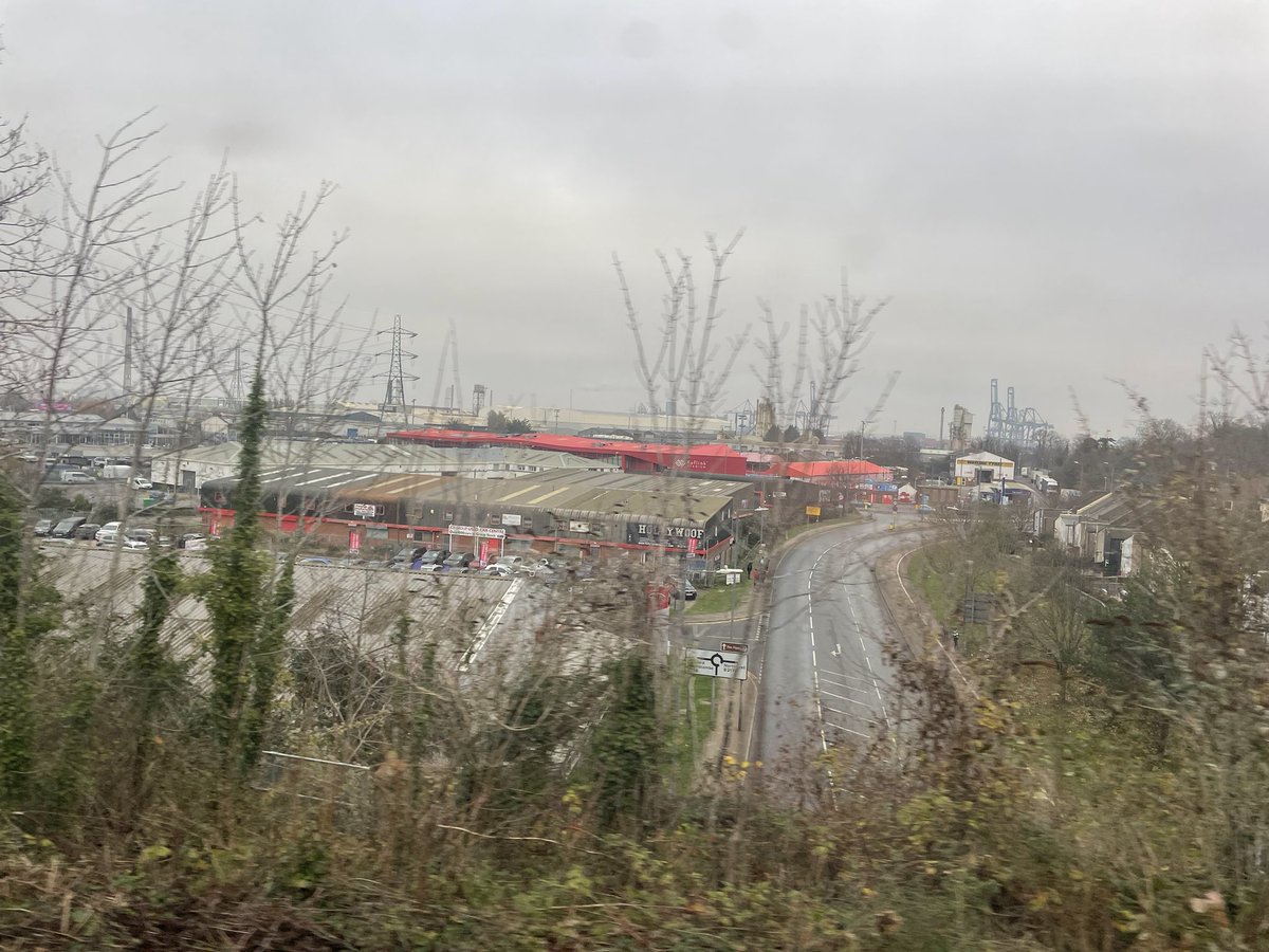 Louis Mendez tweet media