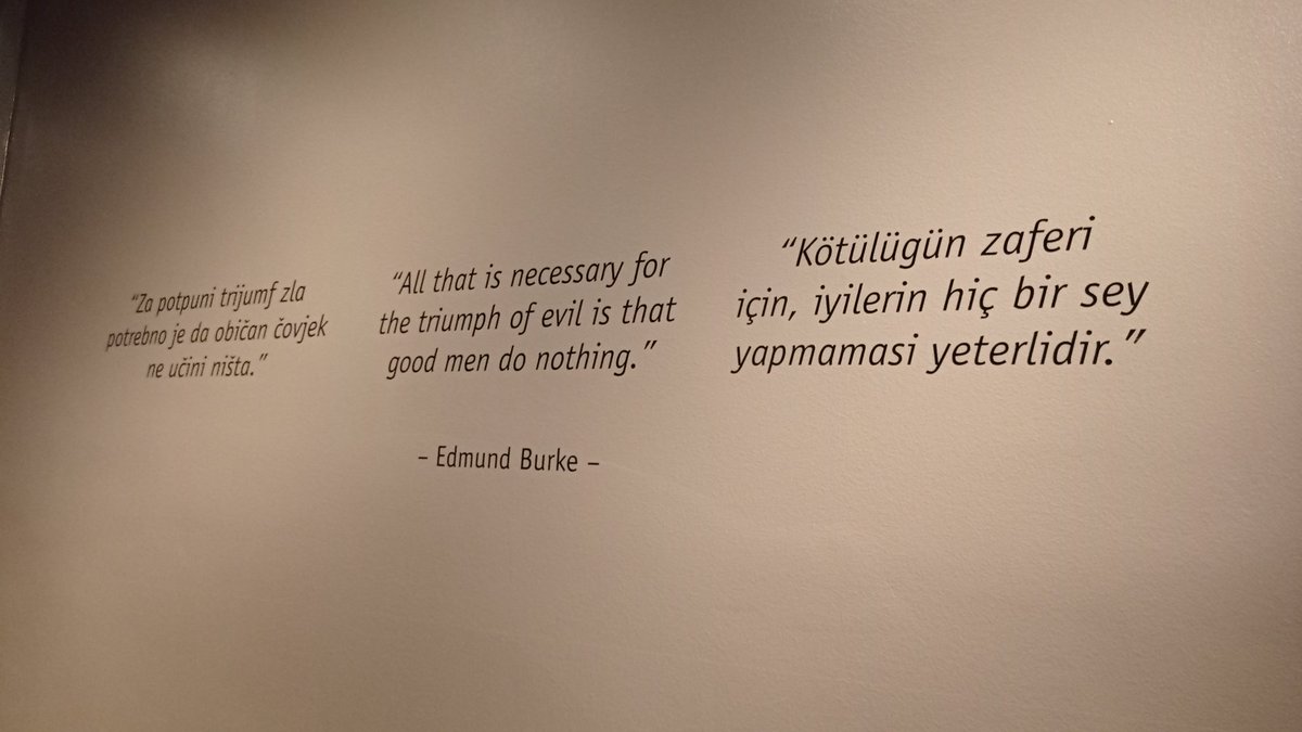 zeytin (@mzytnnn) on Twitter photo 