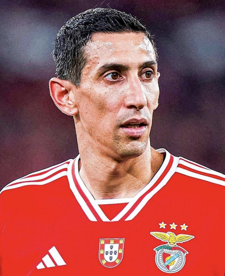 DTransferencias's tweet photo. Roger Schmidt e o futuro de Ángel Di María:

“Estamos preparados para tudo. É uma coisa que, quando o mercado está aberto, acontece nos bastidores. Estou muito satisfeito por ter o Di María connosco, gostei muito da sua decisão de ter vindo para cá. Estamos muito felizes por tê-lo connosco e vamos aproveitar todos os treinos e jogos com ele. Vamos ver se quer ficar mais um ano no Benfica.”