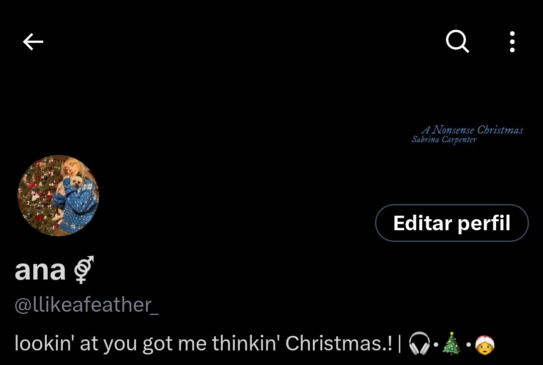 ESSE PERFIL ESTA OFICIALMENTE EM CLIMA NATALINO🥺🥺