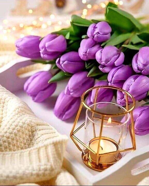 همـٰسـٰٰٰٖٖٖۧـ๋͜ــات حــ۫͜ـࢪفــ͡ـ tweet media
