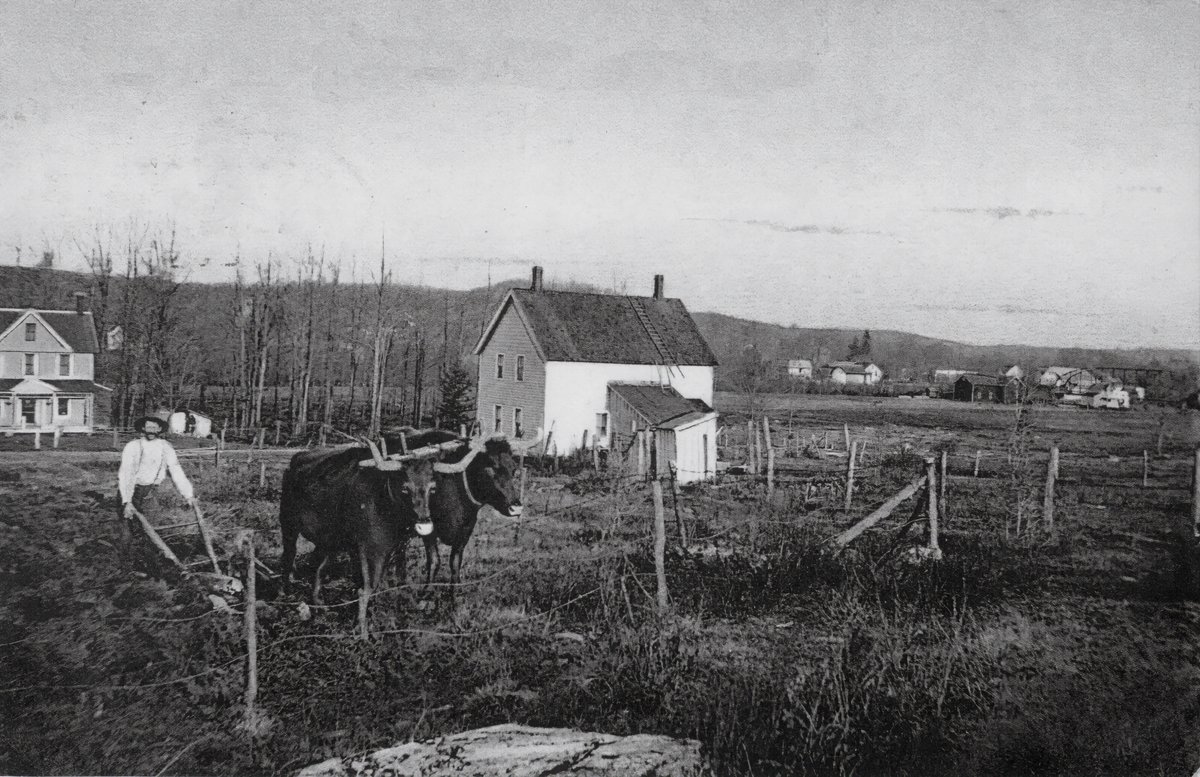 HudsonValSojourner (@hvsojourner) on Twitter photo Vintage Woodbourne NY
Working The Farm In Woodbourne NY, Sullivan County c1910
hudsonvalleysojourner.com/hudson-valley-… Vintage Woodbourne NY
Working The Farm In Woodbourne NY, Sullivan County c1910
hudsonvalleysojourner.com/hudson-valley-…