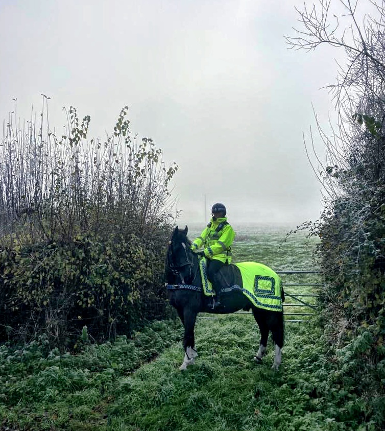 Windsor and Trinity wrapped up warm for their local patrol of Clevedon, it was a chilly and foggy one today 🐴🐴 #hiviz #besafebeseen