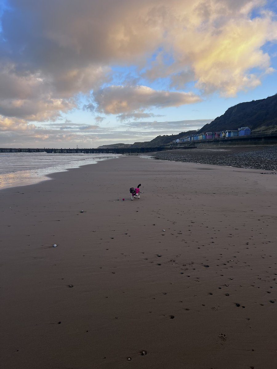 Sarah Coles tweet media