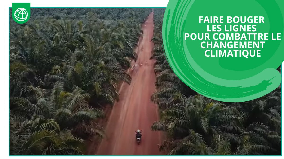 IFC_fr's tweet image. #COP28 à Dubaï, c&apos;est parti !
Un moment crucial pour le monde de se rassembler et de prendre des mesures décisives pour faire face à la crise climatique.

🗝️Suivez-nous pour ne rien manquer de nos derniers articles &amp;amp; points de vue d&apos;experts : wrld.bg/OqU050QeImb. #IFCinsights