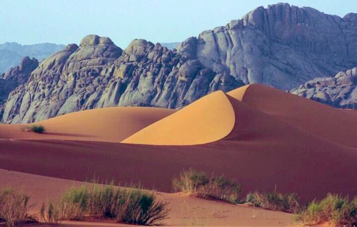 سالم الثنيان tweet media