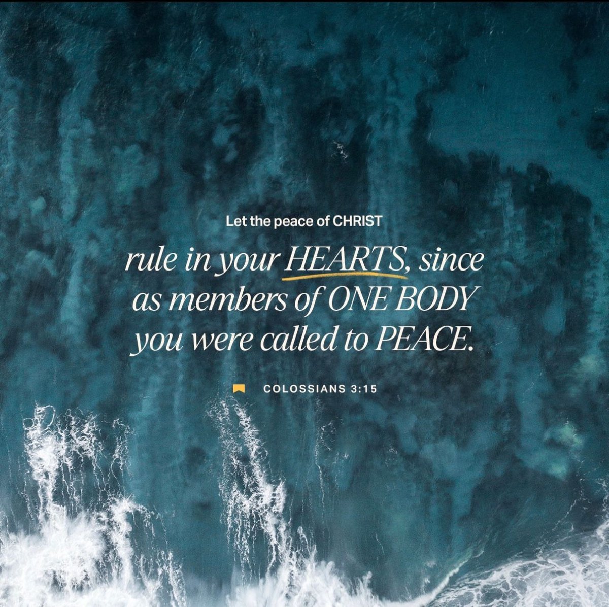 NHCBrea's tweet photo. @nhcbrea @youversion  Let the peace of CHRIST rule in your HEARTS, since as members of ONE BODY you were called to PEACE.
COLOSSIANS 3:15

#northhillschurch #brea #nhcbrea #northhillsyouth #christmas #holiday #christmastime #christmasdecor #christmasactivities #christmasdinner https://t.co/QvqR0H5fLJ
