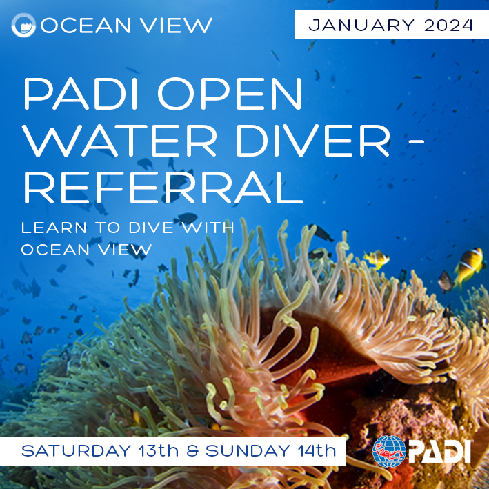 oceanviewdiving's tweet photo. PADI Open Water Referral course January 2024
Saturday 13th – Sunday 14th  – Pool and Classroom
The Open Water Course is your introduction into the underwater world.
#oceanviewdivingservices #learntodivewithoceanview  #padiopenwatercourse
https://t.co/qUBM7p6hDO https://t.co/10pobqyyRW
