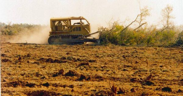 OLT_Paraguay's tweet photo. El discurso de @SantiPenap  en la #COP28UAE, es una posición de la @UGP_Py , de la @arp_py , que trata de ocultar los impactos devastadores del #Agronegocio en el medio ambiente(deforestación, contaminación, etc), principalmente en el bioma del #BosqueAtlantico y en el #ChacoPyo https://t.co/Mk0F05JyaG