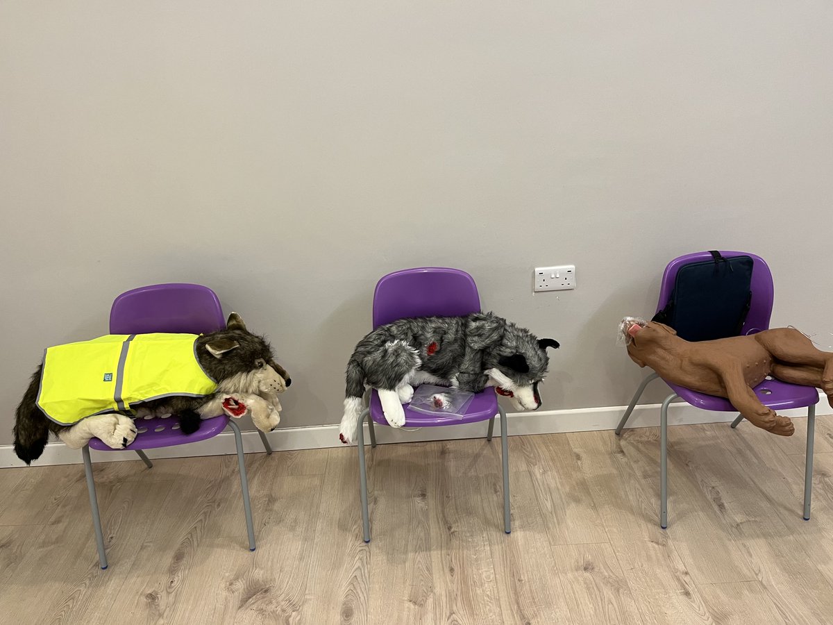Slanjava_Learn's tweet photo. Thanks to those that attended our Pet First Aid Level 2 (VTQ) course for the lovely feedback!
If you are interested in becoming a Pet First Aider, we have more courses running Jan-March, book via https://t.co/rVXAyeRwmm
#petcare
#petfirstaid
#petfirstaidkit https://t.co/KDsuUn5V8n
