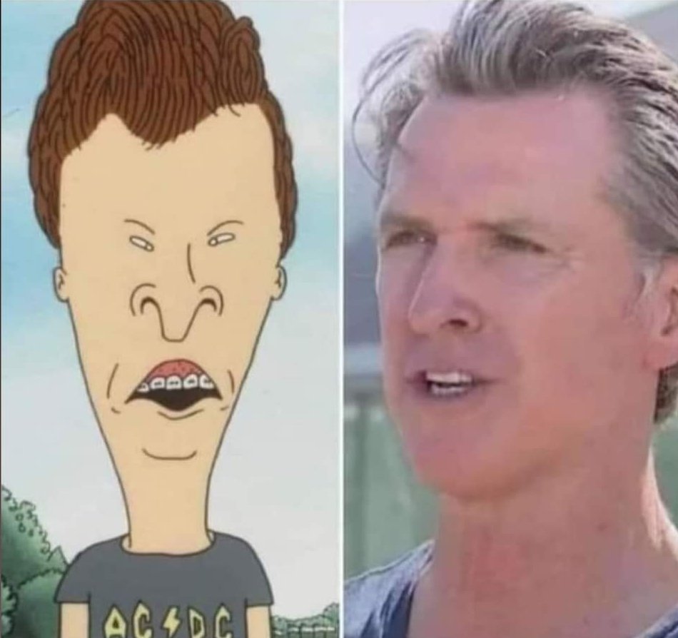 Tim Young tweet media