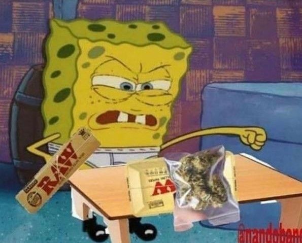 THChumor's tweet image. People who smoke but can't roll just sit there looking at the weed like