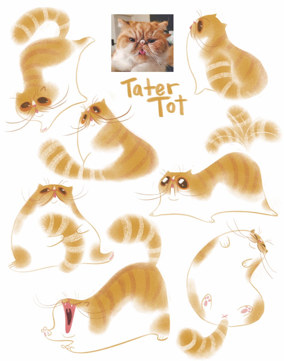 Have I never drawn my son? Here’s my boy- Tater Tot. 👍 #characterdesign #exoticshorthair #exoticshorthaircat