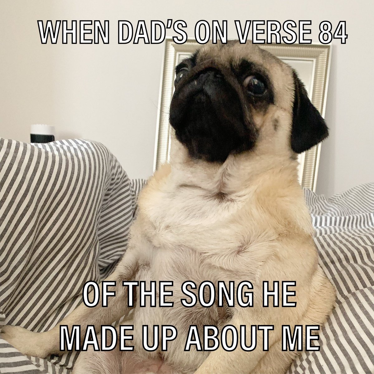 TheBatmanPug's tweet photo. The struggle is real 😕 #puglife https://t.co/eeUVK9lSm5