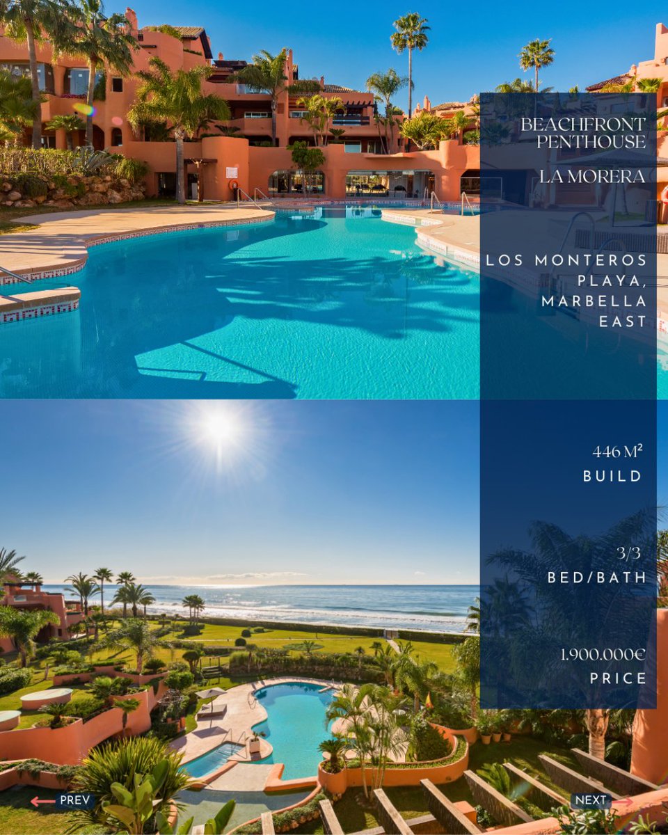 MPDunne & Hamptons International tweet media