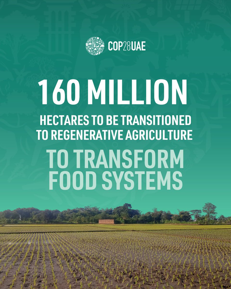 OzoneSpace's tweet photo. Leading food and agriculture organizations join forces to scale regenerative agriculture, transitioning 160 million hectares to regenerative agriculture by 2030, accompanied by USD$2.2 billion in future investment, and engaging 3.6 million farmers world-wide.
#COP28 #OzoneSpace https://t.co/YOBNbRmw1Z