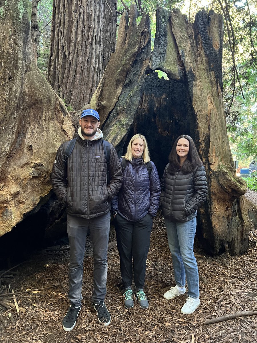 calparks's tweet photo. Remember to spend some time connecting with nature! Our @calparks team enjoyed the towering giants at The Forest of Nisene Marks State Park 🌲💚 #ExploreCA #CAStateParks https://t.co/vlOeVbaHTy