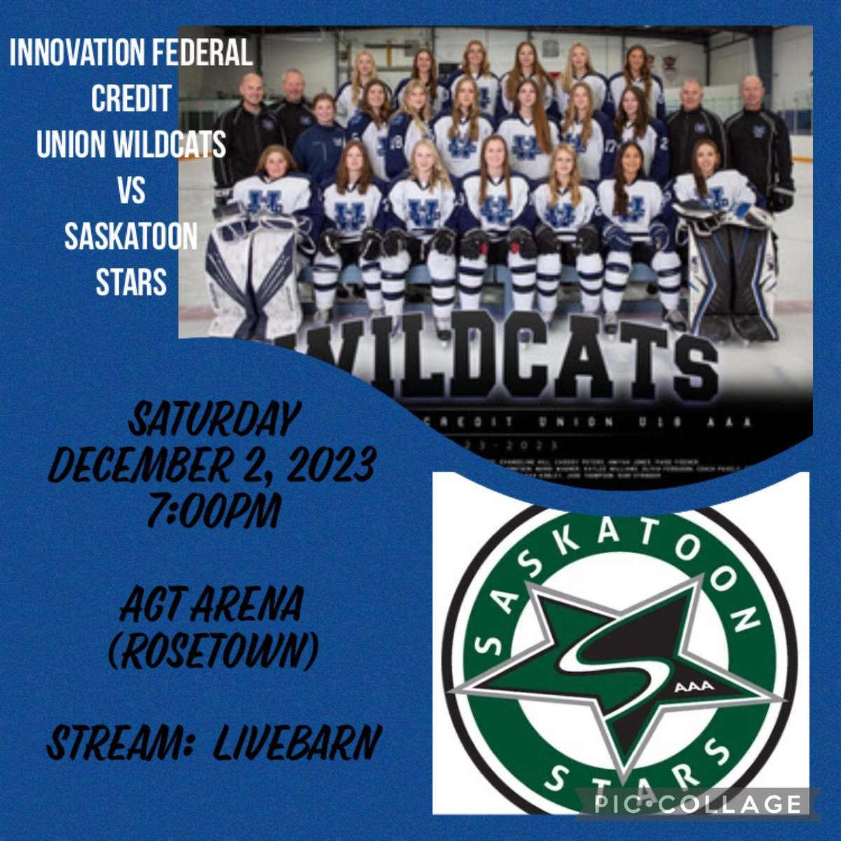 ⁦<a href="/InnovationCU/">Innovation Federal Credit Union</a>⁩ Wildcats are playing the Saskatoon Stars in Rosetown as part of their female hockey day.