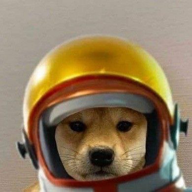 RickyBruni's tweet photo. @t4llm4n @LarpedMe @dogwifcoin I see what you did there $wif https://t.co/dRTZsxfm1W