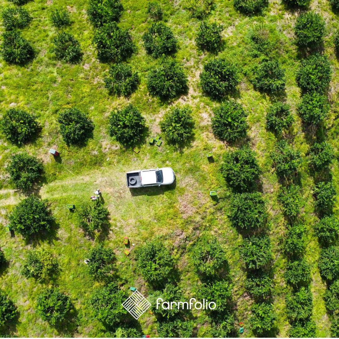 farmfolio's tweet photo. JC and Oscar were on the road last week taking a look at the beautiful farmland properties in Farmfolio’s LOTs network. 

Stay tuned for an on-location video update to get a first-hand look at these incredible farms! 

#farmland #farmlandproperties #farmfolio #farmlandinvestement https://t.co/dp7dXmJaZd