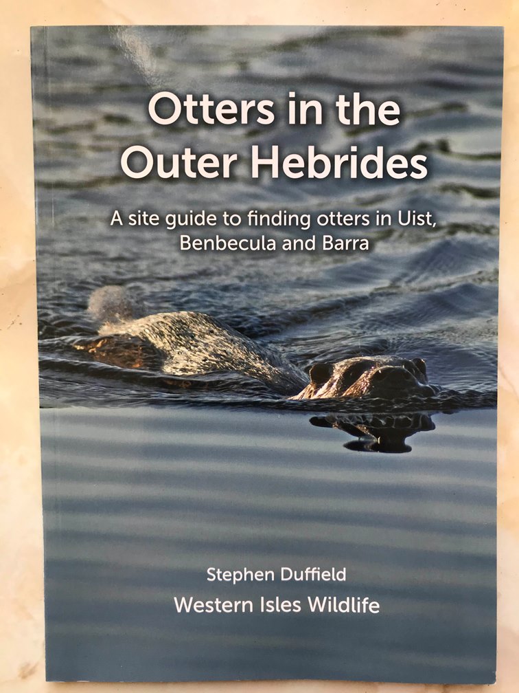 Nice views of a family of otters in South Uist today at one of my favourite sites. If you're intending to visit Uist and Barra then you can find all the best locations to look for these beasties in my site guide available for £12 (including p&amp;p).
