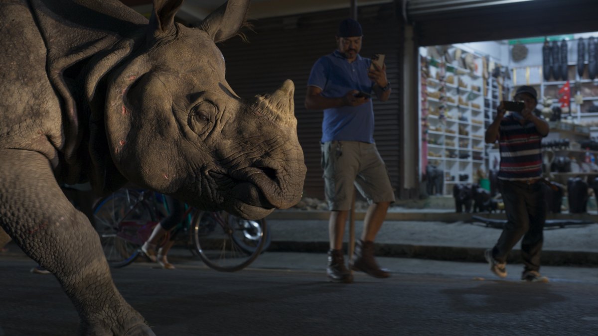 BBCEarth tweet picture