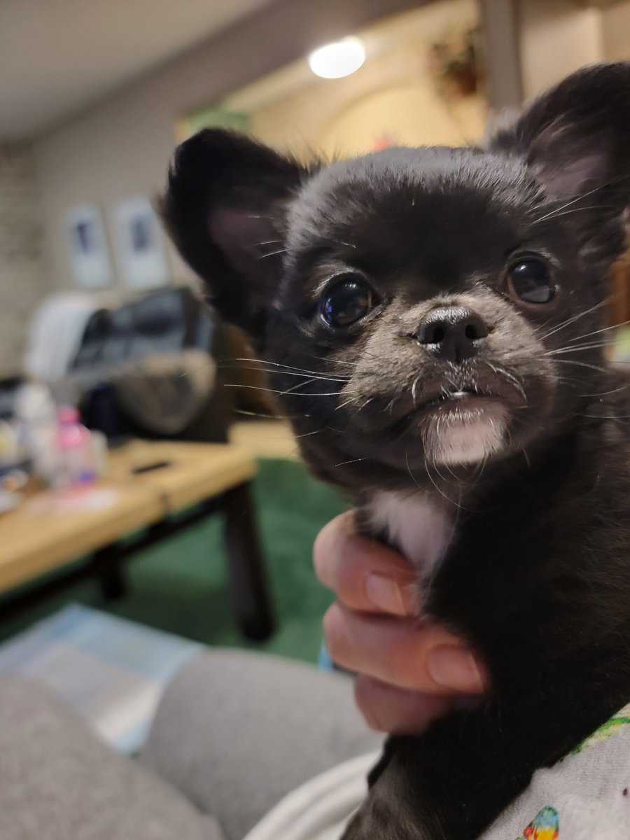 Maria our newest family member